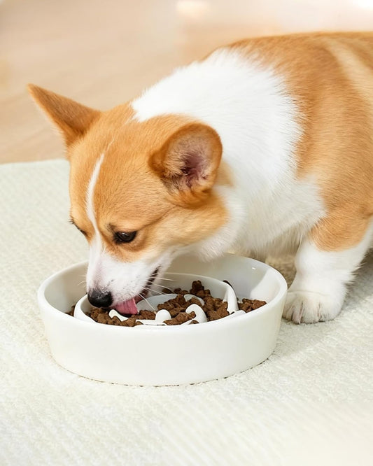 TRUVIC Ceramic Slow Feeder Dog Bowls Small Breed, 0.6 Cup Slow Feeder Cat Bowls for Fast Eaters, Ceramic Dog Food Dish no Black Chin, Puzzle Bowl for Small Dogs and Cats, White