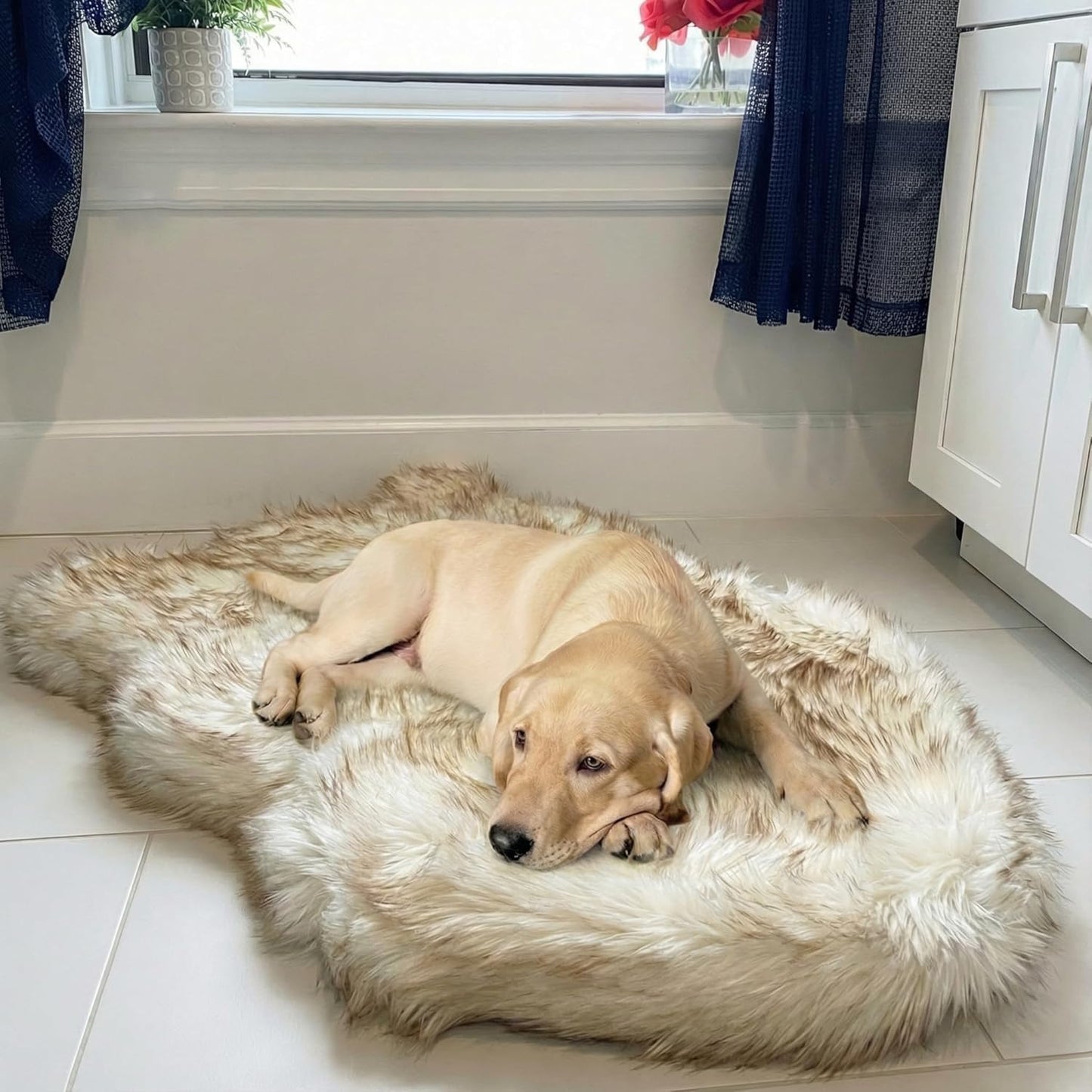 IHAPPYDOG Luxury Faux Fur Orthopedic Dog Bed, Memory Foam Dog Bed for Small, Medium, Large and XL Pets, Fluffy Pet Bed with Waterproof and Washable Cover (White w/Brown Tips, 50"x30")