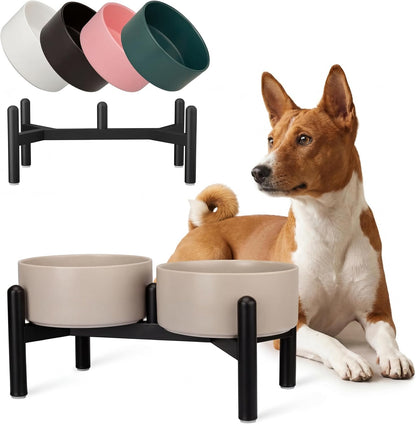 Raised Ceramic Dog Bowl Set - Elevated Double Dishes with Stainless Steel Stand - Food and Water Bowls for Small to Medium Dogs - Each Holds 3.5 Cups (29.57 fl oz) - White