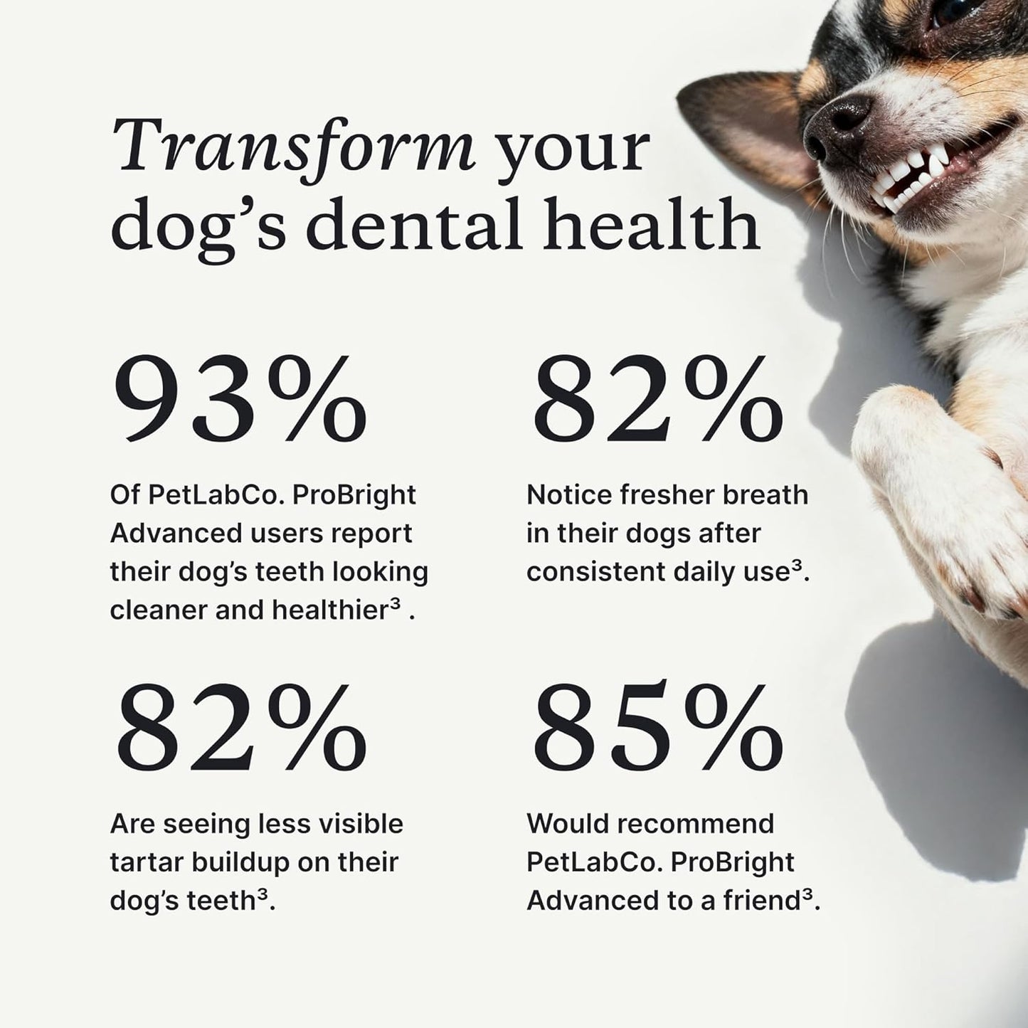 PetLab Co. ProBright Advanced Dental Powder - Dog Breath Freshener - Teeth Cleaning Made Easy – Targets Tartar & Bad Breath - Packaging May Vary - Formulated for Small Dogs