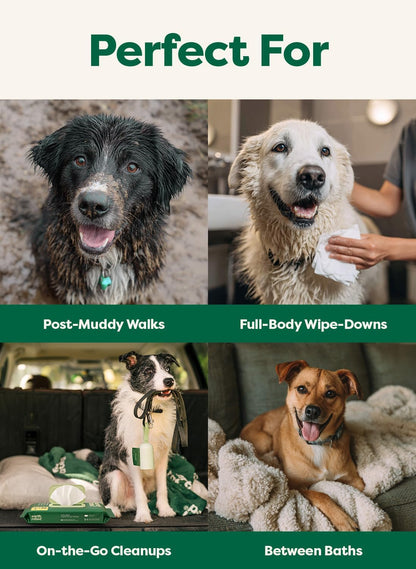 Earth Rated Dog Wipes, Hypoallergenic, Cleaning and Hydrating, for Grooming Paws, Body and Butt, Lavender Scented, 400 Count