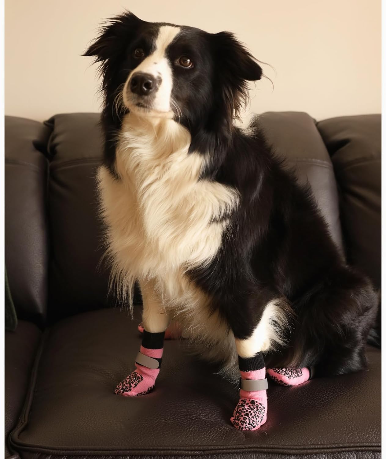 HeavenEye Anti Slip Dog Socks, Dog Paw Protectors Maximum Grip Prevent Licking Paws Slipping, Paw Protector for Hot & Cold Pavement Shoes Boots for Small Medium Large Senior Dogs(White Bone,L)