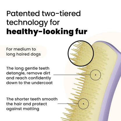 Pet Teezer Detangling Dog Grooming Brush, Dog Bath Brush for Long Haired Breeds and Wet or Dry Fur, Large, Navy & Orange