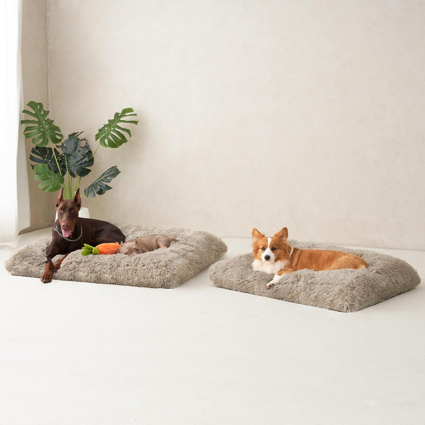EHEYCIGA Fluffy Dog Crate Bed for Medium Dogs, Plush Faux Fur Crate Pad, Calming Anti Anxiety Medium Dog Bed, Washable Soft Warm Crate Mat with Non-Slip Bottom