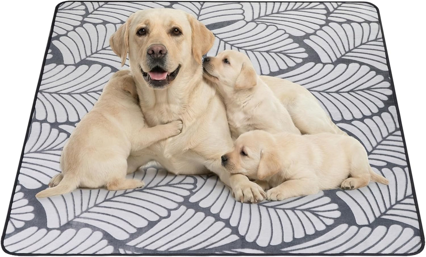 Qeils Reusable Puppy Pads, 2 Pack Washable Pee Pads for Dogs, Waterproof Non Slip Wee Wee pad, Absorbent and Leakproof Training Mats for Potty, Crate, Playpen, Bed, Sofa, 18"x 24"