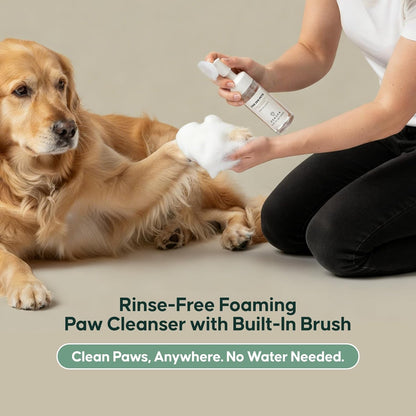 ZenSpa 4-in-1 Dog Spa Kit | Oatmeal Shampoo, Conditioner, Paw Cleaner and Nose Balm | Hypoallergenic Natural Formula for Sensitive Skin | All Breeds and Puppies