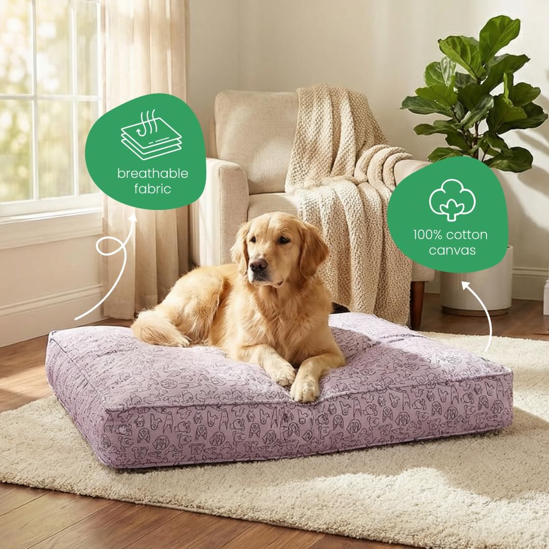 Molly Mutt Medium to Large Dog Bed Cover- Forever Young Print - Measures 27”X36”X5’’ - 100% Cotton - Durable - Breathable - Sustainable - Machine Washable Dog Bed Cover (Dd82b)