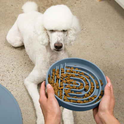 Should We Go? Slow Feeder for Dogs & Puppies, The Slowdown Bowl Silicone Slow Eating, Modern Lick Mat Design, Reduces Gulping, Fits 2 Cups, 7.5” Across x 1.5” Tall, Mealtime Challenge, Medium-Blush