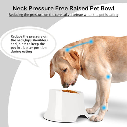 Tilted Elevated Dog Bowls Non-Slip & Non-Spill Pet Feeder with Elevated Detachable Melamine Stand, High Capacity Tilted Dog Bowl for Medium Small Size Dogs M/2 Cup Black