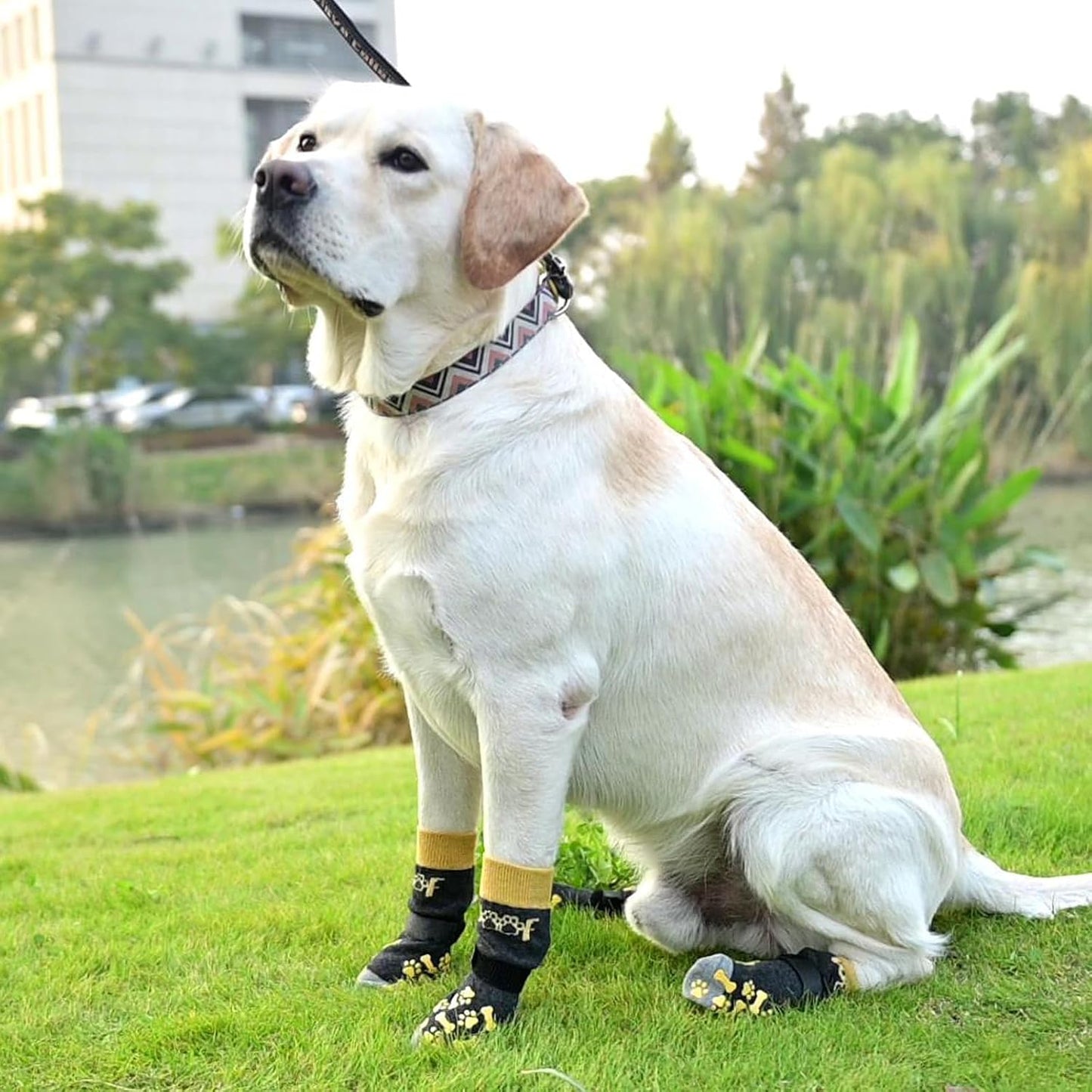 KOOLTAIL Dog Socks Shoes for Hot Pavement to Prevent Licking Paws, Winter Dog Boots&Paw Protector for Hardwood Floors Anti Slip,Traction Control Grip Booties for Small Medium Large Senior Dogs,Black M