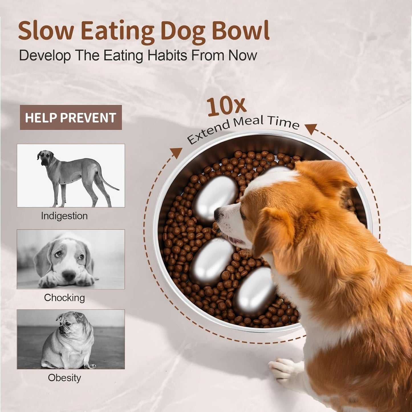 Slow Feeder Dog Bowl for Fast Eating Dogs Stainless Steel Heavy Duty 8.2" with Non-Slip Base, Raised Obstacle Slow Down Eating for Small Medium Large Dogs, Reduces Bloat & Indigestion, Dishwasher Safe