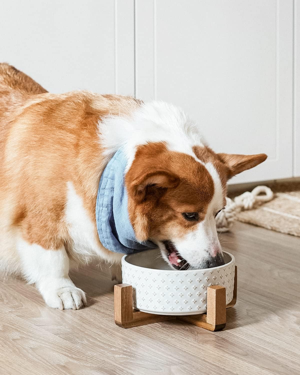 LE TAUCI Dog Bowl Set with Acacia Wood Stand - 1.5-Cup Ceramic Puppy Bowls for Small Dogs, Dual Food and Water Bowls with Weighted Non-Slip Base