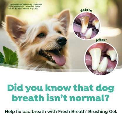 TropiClean Fresh Breath Finger Brushes for Pets, 2 pack -
