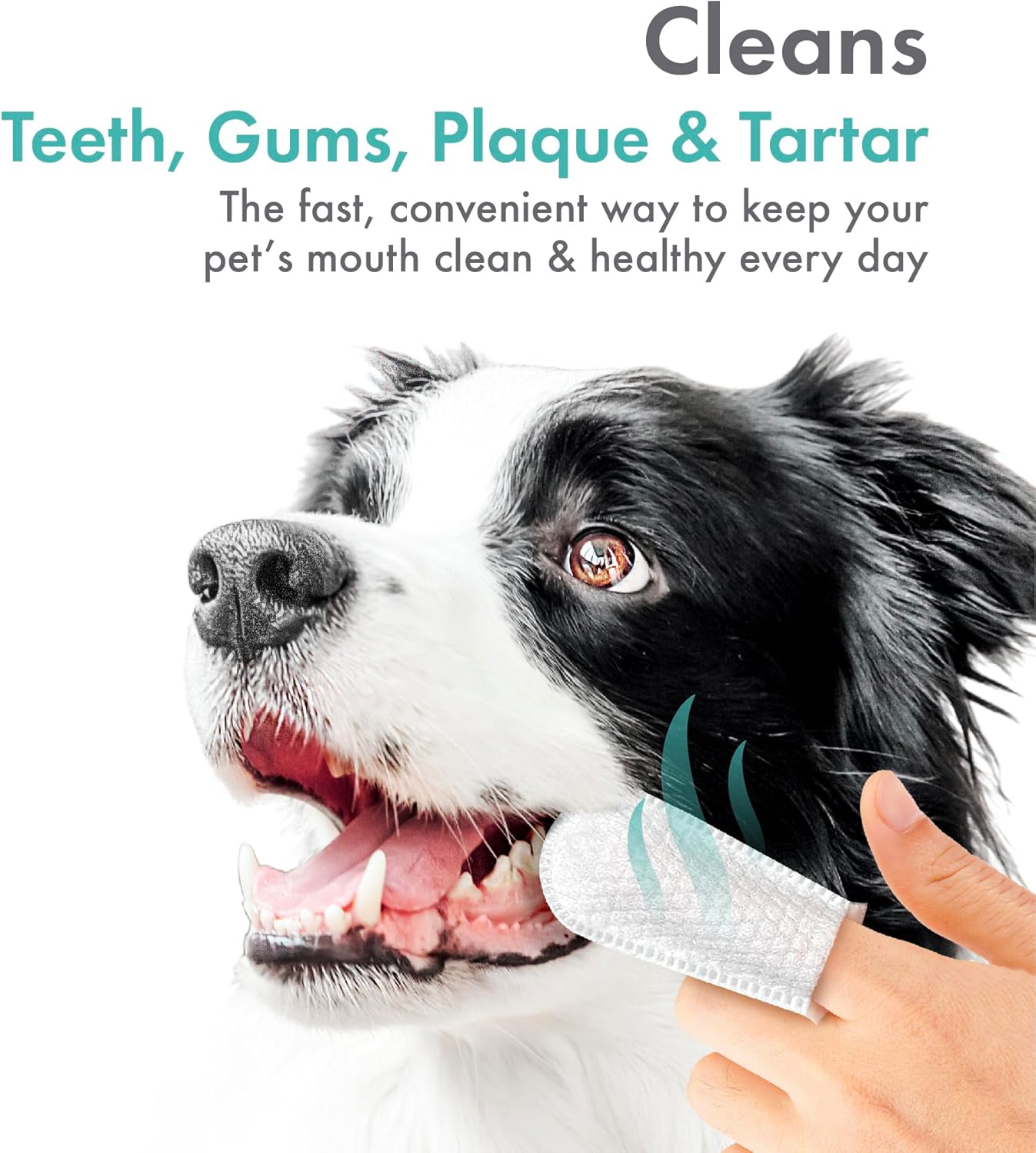 Petkin Fingertip Tooth Wipes for Dogs and Cats, 50 Finger Wipes - Slip-On, Snug Fit, Micro-Bristle Fabric - Cleans Teeth, Gums, Plaque & Tartar - Convenient, Ideal for Home and Travel - Peanut Butter