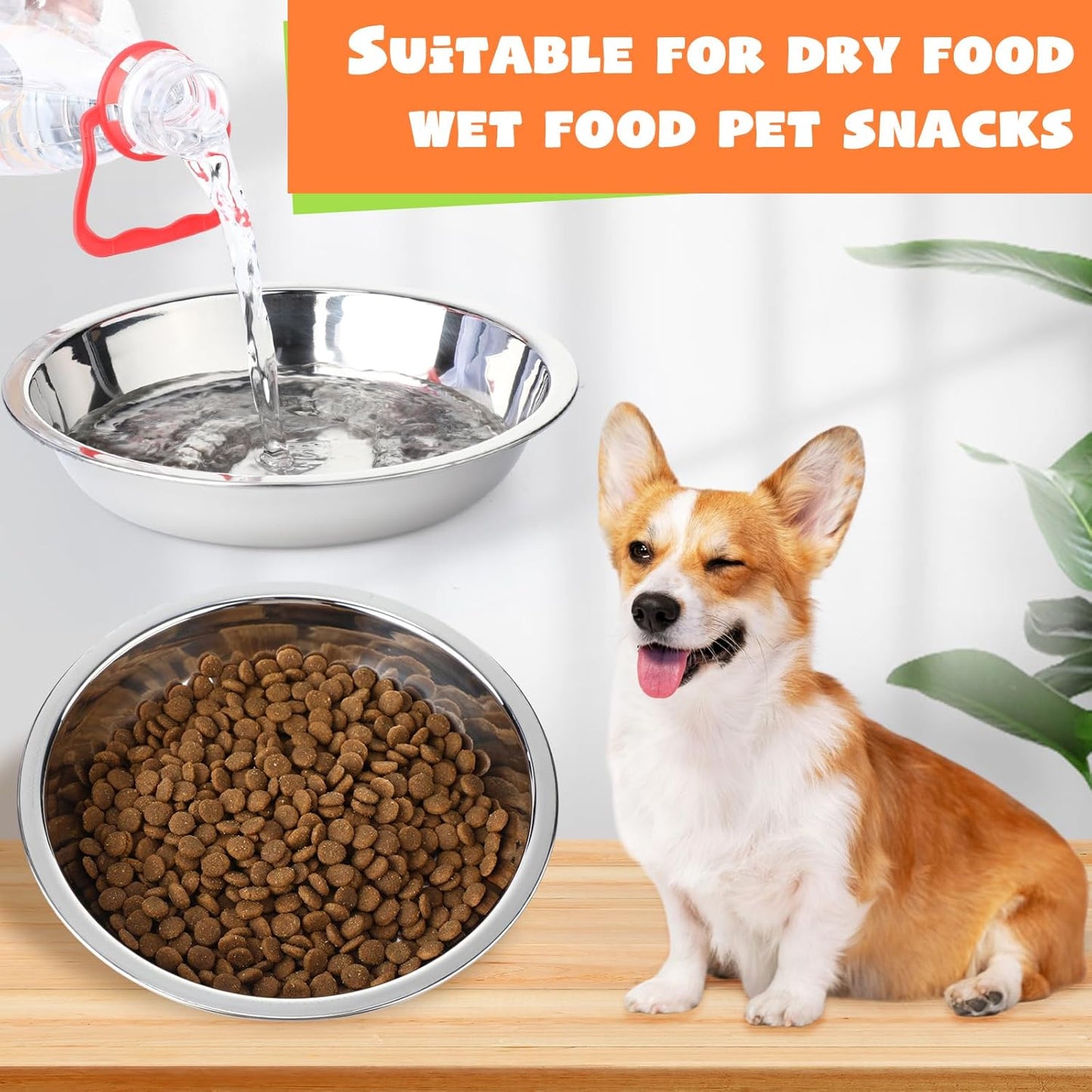 Patelai 4 Pcs Stainless Steel Dog Bowls with Silicone Lids Portable Food and Water Dishes for Pets Sealable Containers for 6.3" for Cats & Small Dogs (Red,Purple)