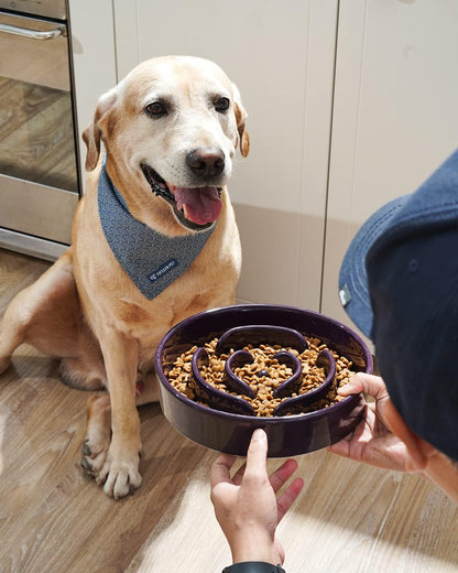 LE TAUCI Dog Bowls Slow Feeder Ceramic, 1.5 Cup Slow Feeding Bowl for Small and Medium Breed, Puzzle Dog Food Bowl for Fast Eater, Maze Purple
