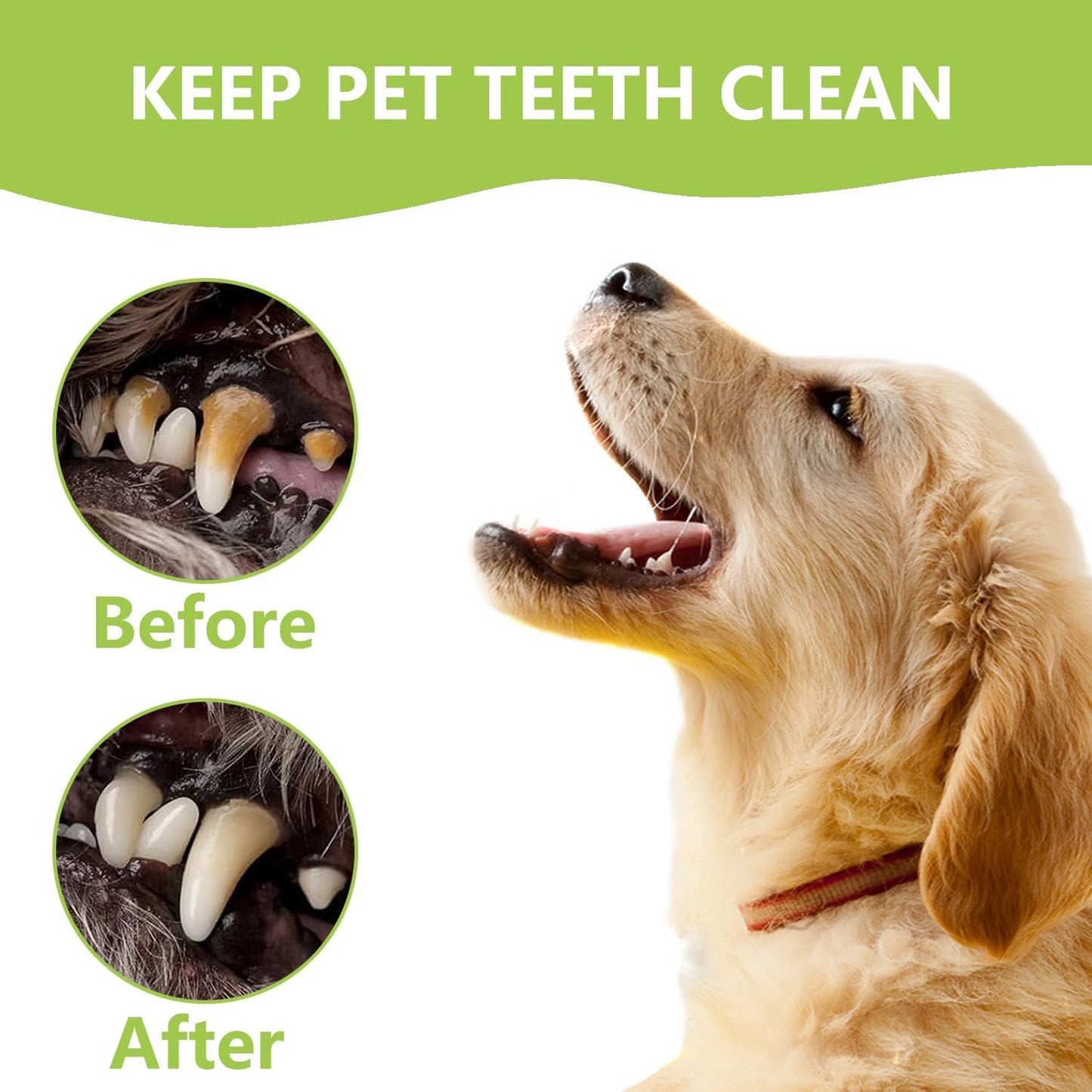 Dental Tools Pet Dog Teeth Cleaner Tool Kit, Stainless Steel Plaque Remover Dental Picks Tooth Tartar Scraper, Pets Oral Care Hygiene Set for Cats and Dogs Use with Case