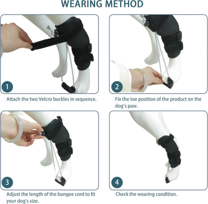 Dog Knuckling Brace, Dog Toe Grips for ACL Injury, Hock Fracture, Arthritis & Meniscus Tears, Rear Legs, L