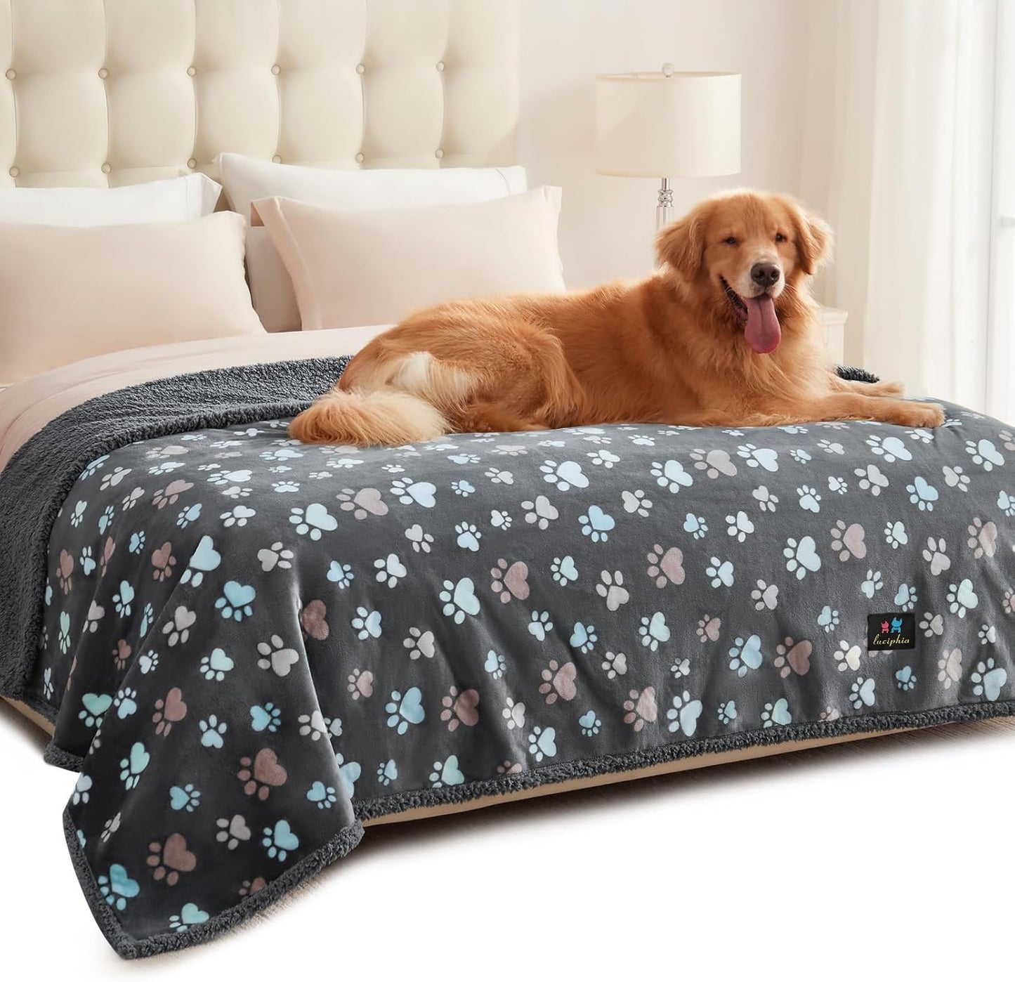 Luciphia Waterproof Pet Blankets for Couch Sofa Bed Cover Cat Liquid Pee Proof Washable Soft Fluffy Large Dog Blanket Reversible Furniture Protection Puppy Grey Paw Thicken Small（40" x 28"）