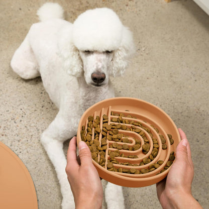 Should We Go? Slow Feeder for Dogs & Puppies, The Slowdown Bowl Silicone Slow Eating, Modern Lick Mat Design, Reduces Gulping, Fits 2 Cups, 7.5” Across x 1.5” Tall, Mealtime Challenge, Medium-Blush