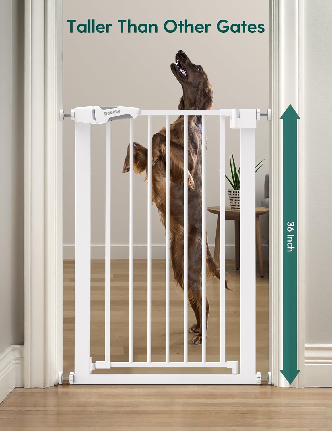 BABELIO 36" Tall Narrow Baby Gate, 26-28.5" Wide Auto-Close Metal Pet Gate for Small Stairs/Doorways/Hallways, Pressure/Hardware Mounted for Child and Pets, NO Extensions, White