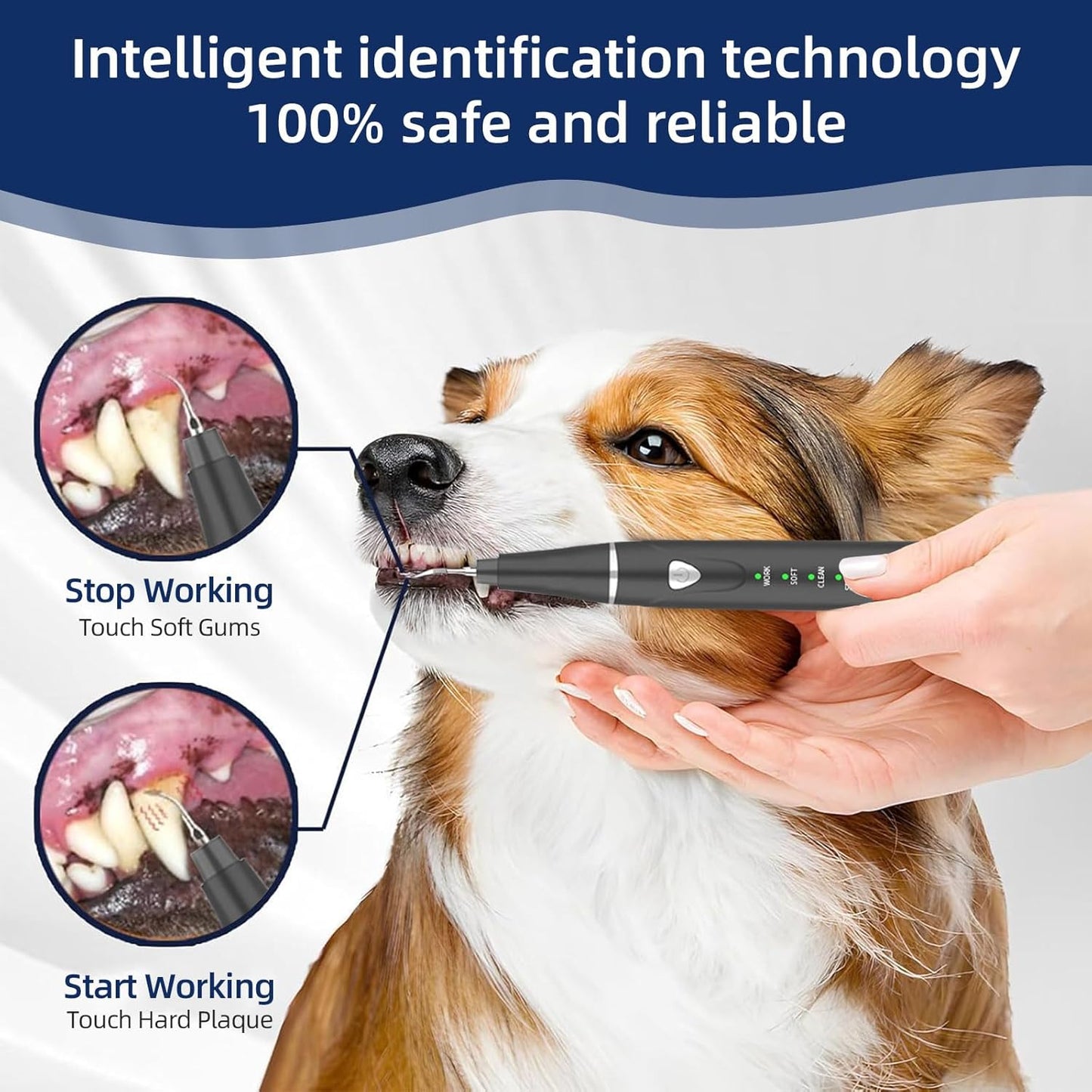 Plaque Remover for Teeth, Pet Ultrasonic Cleaner, Dog Plaque and Tartar Remover with LED Light, Dog Teeth Cleaning Dental Care Kit for Tartar and Stains, Suitable for Dogs and Cats (Black)