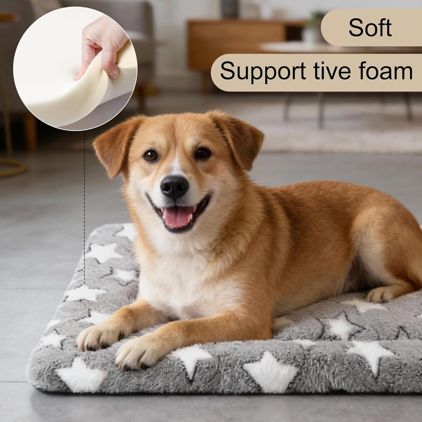 Dog Bed Mat, Reversible Crate Pad & Cute Dog Bed - Machine Washable Kennel Mat with Ultra Soft for Small Dogs (Cool/Warm), 24" x 18", Grey&Star