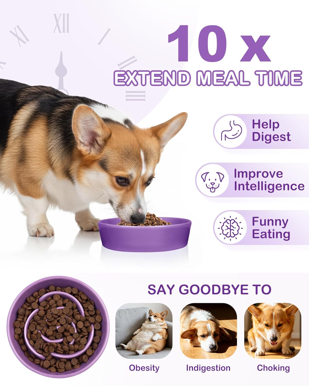 TRUVIC Ceramic Slow Feeder Dog Bowls Small Breed, 0.6 Cup Slow Feeder Cat Bowls for Fast Eaters, Ceramic Dog Food Dish no Black Chin, Puzzle Bowl for Small Dogs and Cats, White