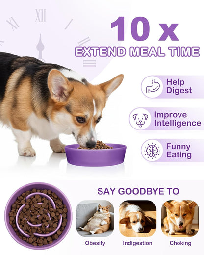 TRUVIC Ceramic Slow Feeder Dog Bowls Small Breed, 0.6 Cup Slow Feeder Cat Bowls for Fast Eaters, Ceramic Dog Food Dish no Black Chin, Puzzle Bowl for Small Dogs and Cats, White
