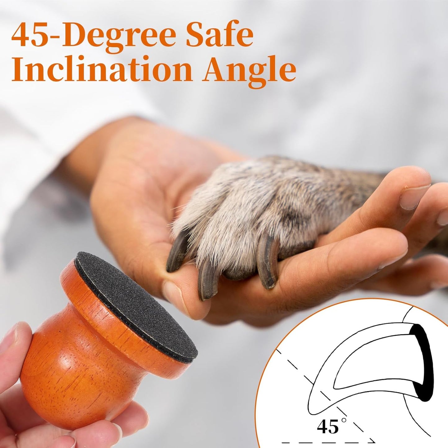 Dog Nail File with Replaceable Filing Disc Dog Nail File Scratch Board Replaceable Sandpaper Stress Free Nails Filing Dogs Trainning Accessories for Smooth and Healthy Nails