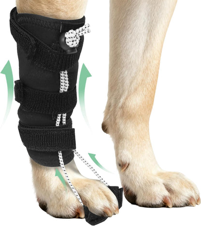 Dog Knuckling Brace, Dog Toe Grips for ACL Injury, Hock Fracture, Arthritis & Meniscus Tears, Rear Legs, L