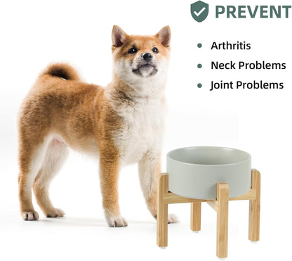 Havniva 8.3” Dog Bowls Elevated Ceramic Dog Food and Water Bowl, Raised Dog Water Bowl with Stand Non-Slip Rubber Base Large Capacity Feeding Pet Food Bowl for Large Dogs
