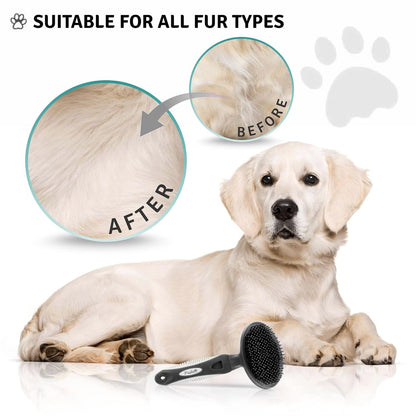 Round Bristle Pet Brush for Dogs and Cats - Soft Dog Brush for Grooming Short or Long Hair - Gentle Tool for Sensitive Skin Removes Dander, Dirt, and Detangles (Purple)