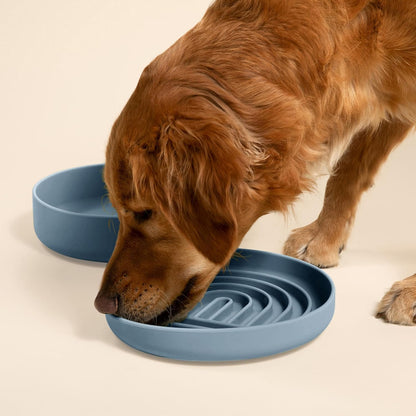 Should We Go? Slow Feeder for Dogs & Puppies, The Slowdown Bowl Silicone Slow Eating, Modern Lick Mat Design, Reduces Gulping, Fits 2 Cups, 7.5” Across x 1.5” Tall, Mealtime Challenge, Medium-Blush