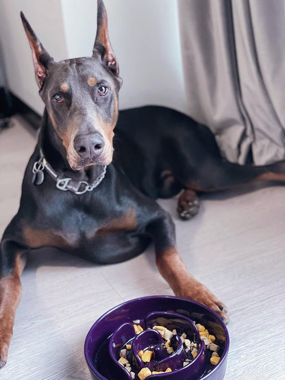 LE TAUCI Dog Bowls Slow Feeder Ceramic, 1.5 Cup Slow Feeding Bowl for Small and Medium Breed, Puzzle Dog Food Bowl for Fast Eater, Maze Purple