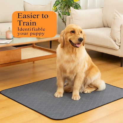 Bunlitent Washable Pee Pads for Dogs 72x72, 2 Pack, Extra Large Reusable Puppy Pads, Dog Training Pads with Quick Dry, Large Anti-Slip Dog Pee Pads, Whelping Pads, Potty Pad