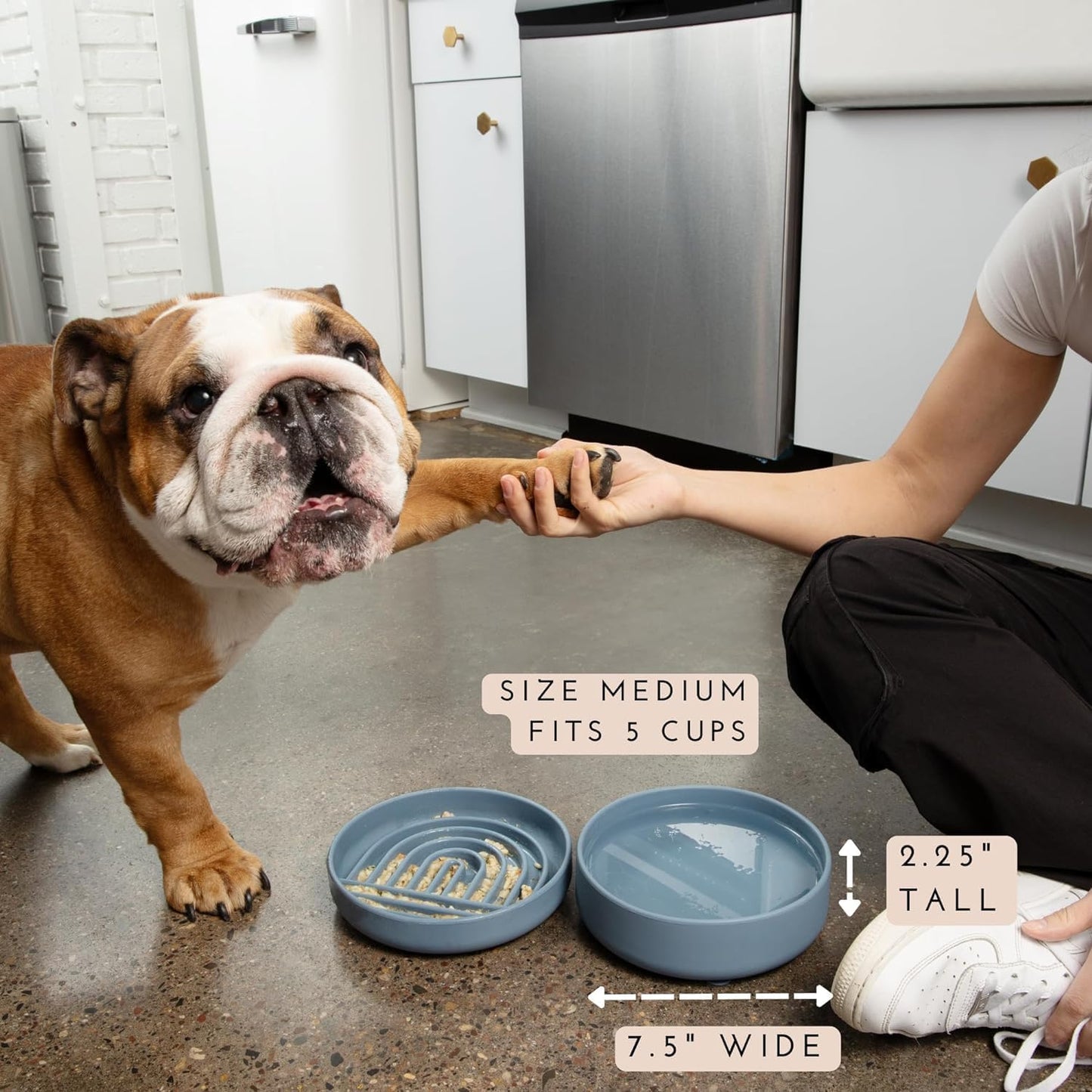 Should We Go? Dog Water Bowl - The Perfect Dish No-Spill, Less Mess Non-Tippable Water & Food Bowl, Pure Silicone with Suction Cup Fits 5 Cups 7.5" Across x 2.25" Tall, Ideal for All Pets, Medium-Sage