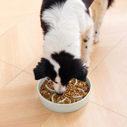 vancasso Ceramic Slow Feeder Dog Bowls, Puzzle Dog Food Bowls with Floral Maze, Anti -Slip Pet Food Dish for Small Breed, 0.6 Cups, Pink