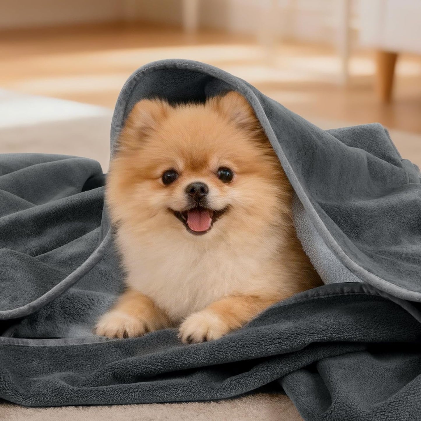 LOOBANI Waterproof Blanket for Bed: Reversible Soft Flannel Twin Bed Blanket 60" x 80", Leakproof Throw Spill-Proof Dog Pet Blanket for Couch Cover, Movie Time, Camping, Travel, Grey