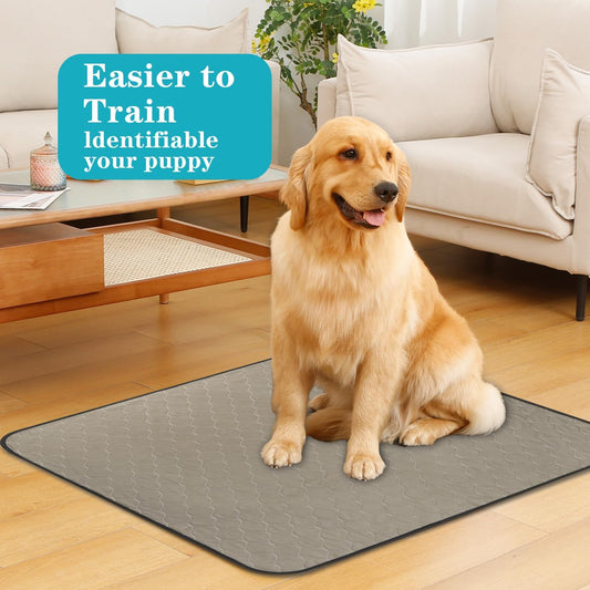 Bunlitent Washable Pee Pads for Dogs 72x72, 2 Pack, Extra Large Reusable Puppy Pads, Dog Training Pads with Quick Dry, Large Anti-Slip Dog Pee Pads, Whelping Pads, Potty Pad