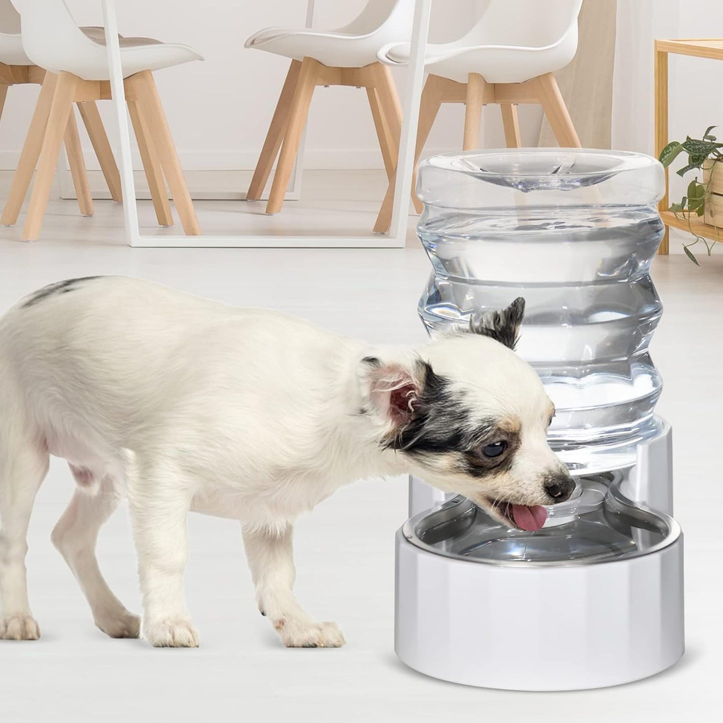 RIZZARI 8L Elevated Pet Water Dispenser – Stainless Steel Gravity Waterer with Auto-Refill Design for Medium and Large Dogs & Senior Pets -Comfortable Drinking Height for Living Rooms,Multi-Pet Homes