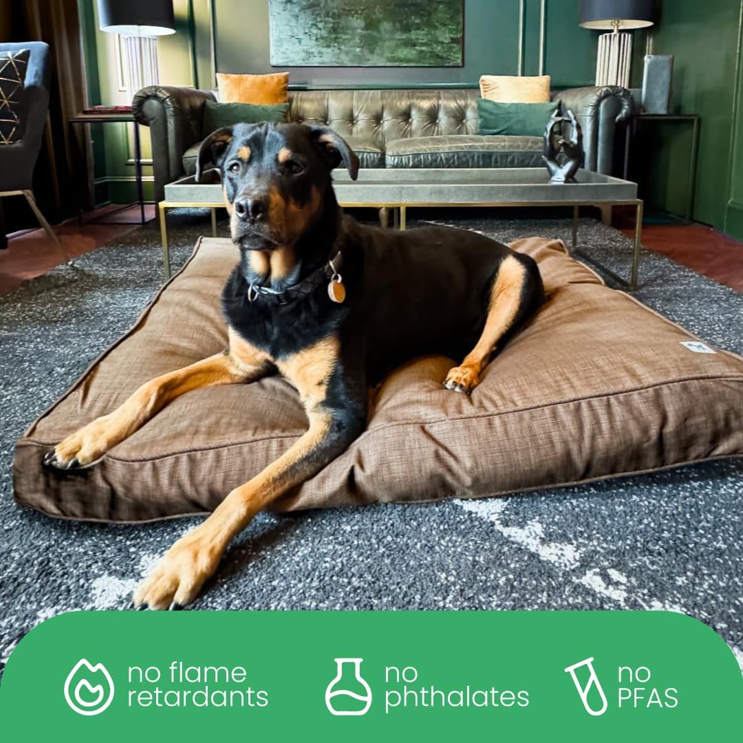 Molly Mutt Medium to Large Dog Bed Cover- Forever Young Print - Measures 27”X36”X5’’ - 100% Cotton - Durable - Breathable - Sustainable - Machine Washable Dog Bed Cover (Dd82b)
