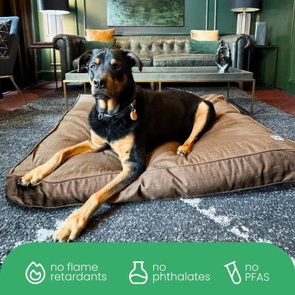 Molly Mutt Medium to Large Dog Bed Cover- Forever Young Print - Measures 27”X36”X5’’ - 100% Cotton - Durable - Breathable - Sustainable - Machine Washable Dog Bed Cover (Dd82b)