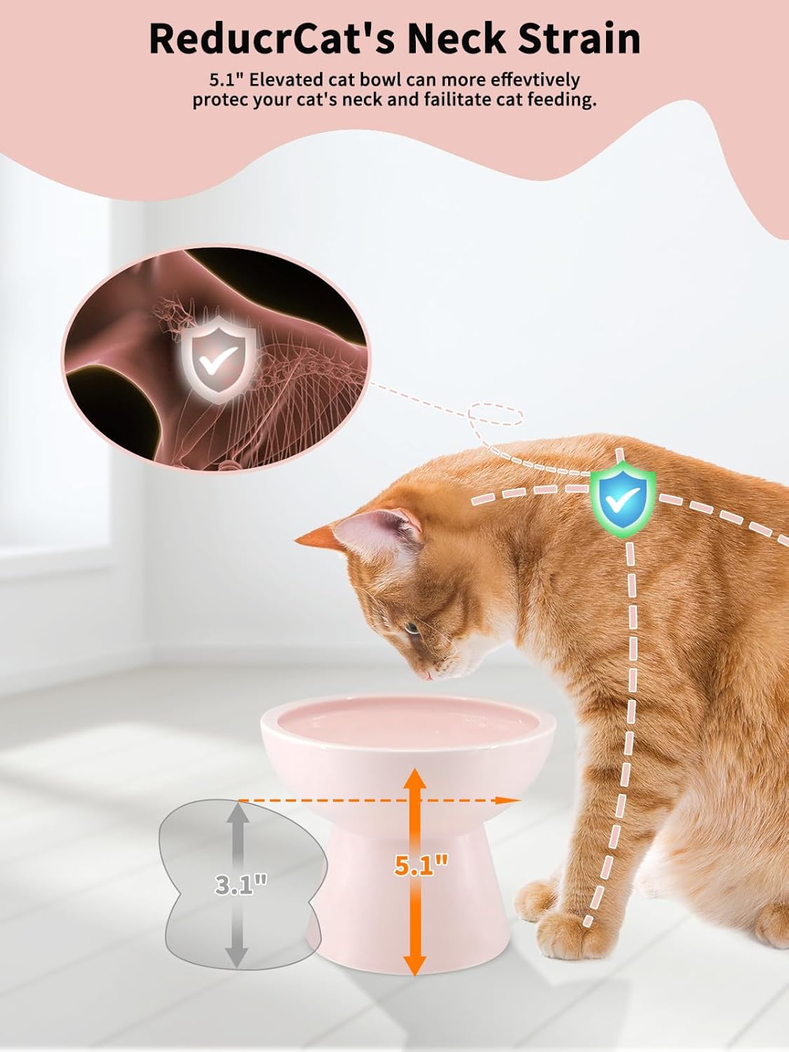 LoeJan Elevated Cat Food and Water Bowls Set, Extra Wide and Raised Ceramic Bowls, Anti-Vomit Whisker-Free Pressure Cat Feeder for Kittens to Adult Cats and Small Dogs (White, Water Bowl)
