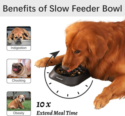 MateeyLife Slow Feeder Dog Bowls 2PCS, Anti-Choking Puzzle Dog Food Bowls, Anti-Slip Interactive Feeding Slow Down Eating, Bloat Stop Maze Dishes for Medium Breeds Pink&Purple