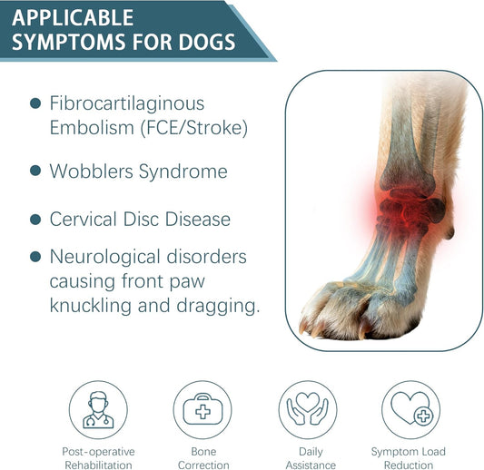 Dog Knuckling Brace, Dog Toe Grips for ACL Injury, Hock Fracture, Arthritis & Meniscus Tears, Rear Legs, L