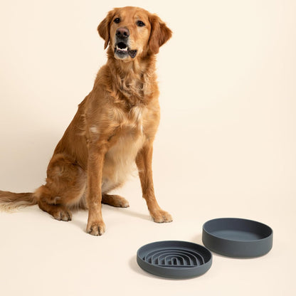 Should We Go? Slow Feeder for Dogs & Puppies, The Slowdown Bowl Silicone Slow Eating, Modern Lick Mat Design, Reduces Gulping, Fits 2 Cups, 7.5” Across x 1.5” Tall, Mealtime Challenge, Medium-Blush