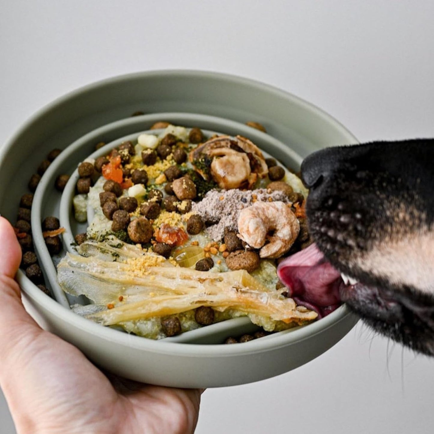 Should We Go? Slow Feeder for Dogs & Puppies, The Slowdown Bowl Silicone Slow Eating, Modern Lick Mat Design, Reduces Gulping, Fits 2 Cups, 7.5” Across x 1.5” Tall, Mealtime Challenge, Medium-Blush