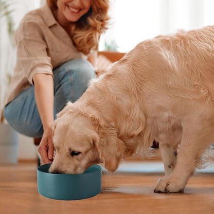 6'' Ceramic Raised Dog Bowl - 30Oz Dog Food & Water Bowl with Elevated Non-Slip Bamboo Stand, Dishwasher & Microwave Safe, Anti Vomiting Heavy Duty Pet Bowl for Small and Medium Dogs, White