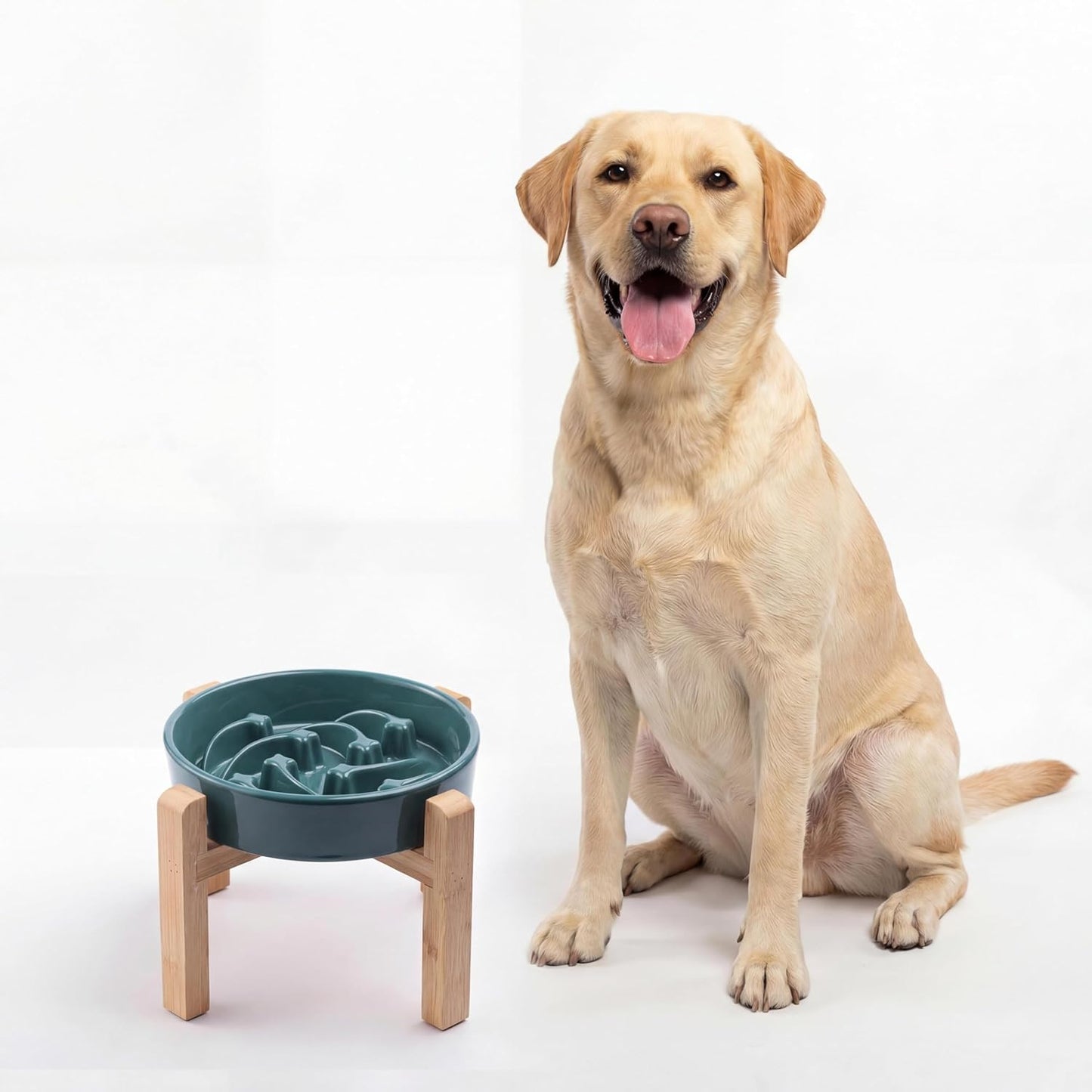 Ceramic Slow Feeder/Dog Bowl for Small Medium Dogs,Elevated/Raised Slow Feeding Dog Food Water Dish Heavy Weighted,Puzzle Eating Bowl Moder （Stars Mark-Forest Green, 8.26in）